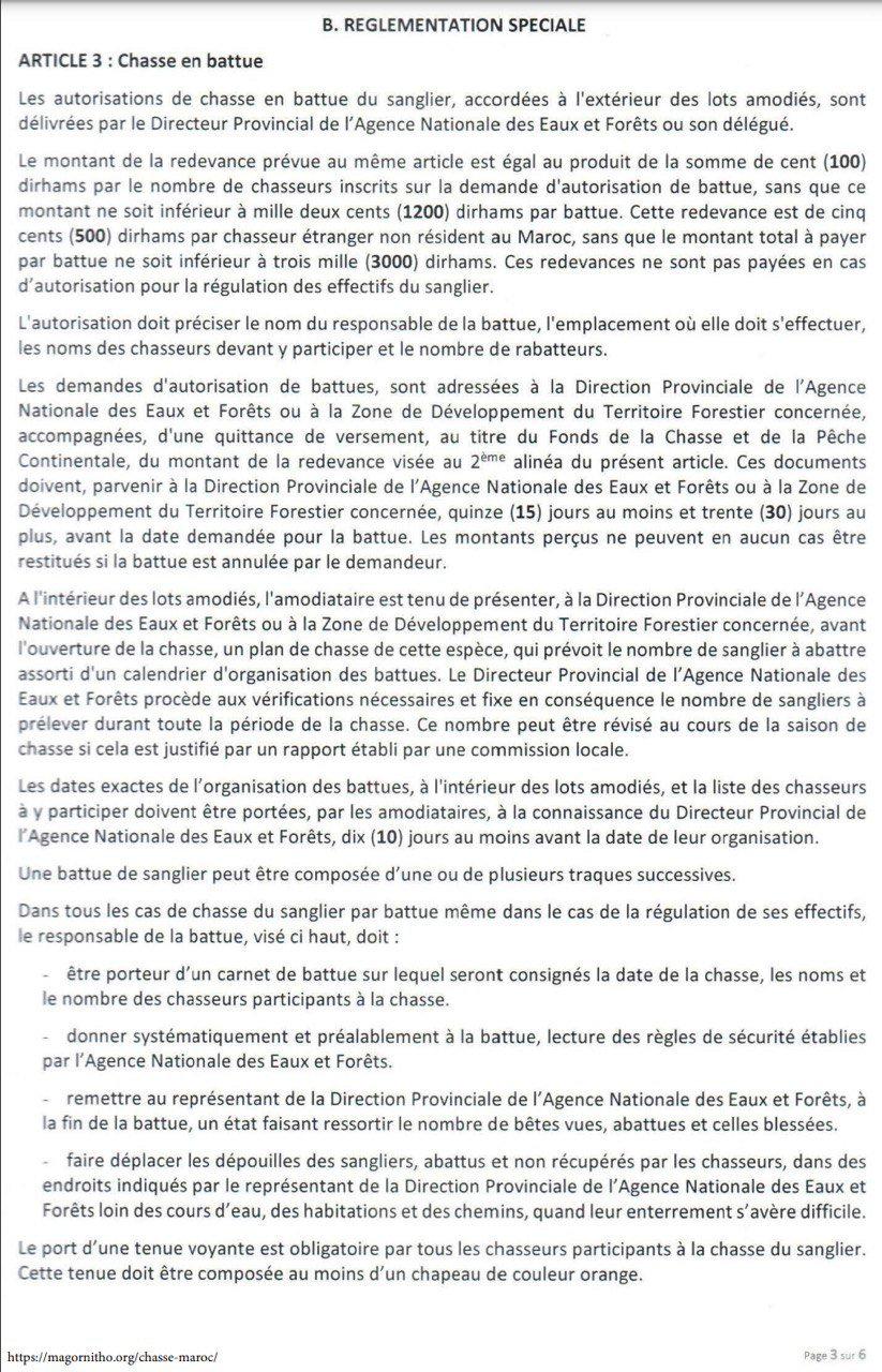 Arrêté de chasse au Maroc 2025 : toutes les dates, espèces autorisées, quotas et règles officielles