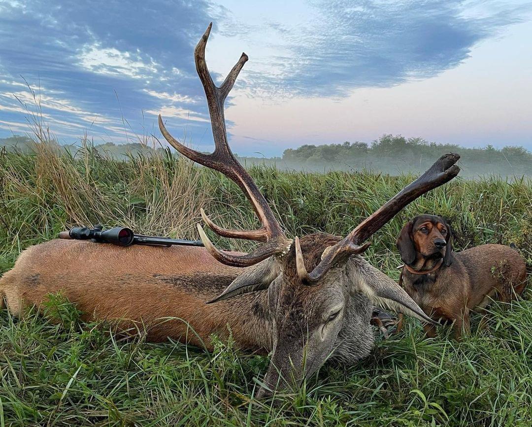 Does anyone know where I hunted this trophy?