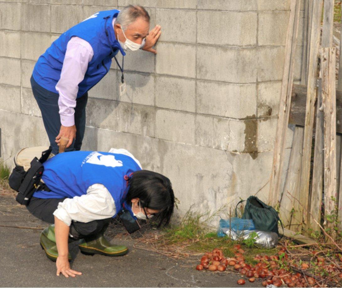 秋田県知事 クマ捕獲に1頭5000円の慰労金など支給へ