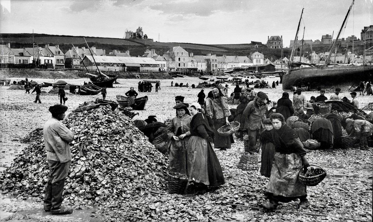 Oyster hunting and sorting in 19th-century France was an essential maritime and culinary practice that reflected both the country’s deep gastronomic traditions and the evolving dynamics of coastal economies.