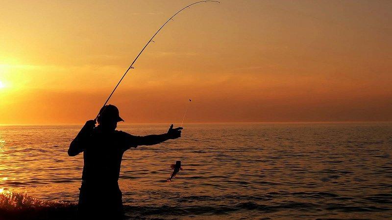 Les avantages de la libération des poissons capturés incluent le fait que certains des poissons relâchés survivent, ce qui réduit le dépeuplement.