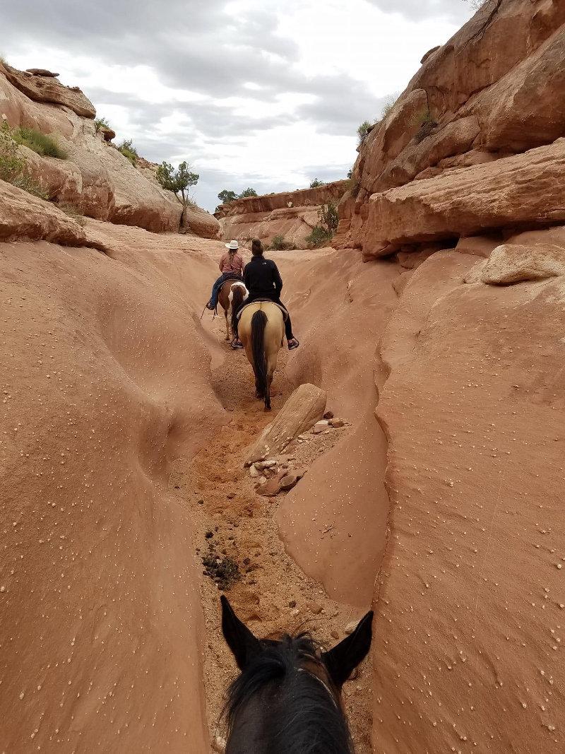 UTAH