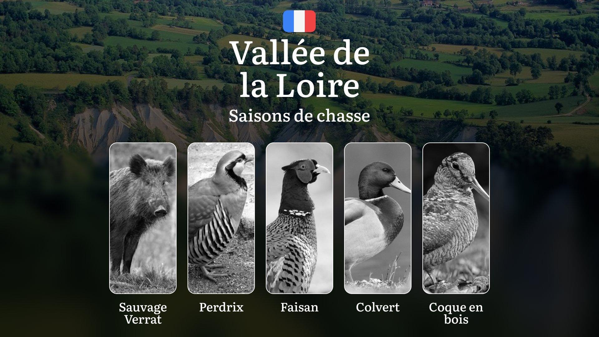 Saisons de Chasse en VALLÉE DE LA LOIRE: Dates Officielles, Limites Légales, Permis Requis, Règles Générales et Périodes Clés