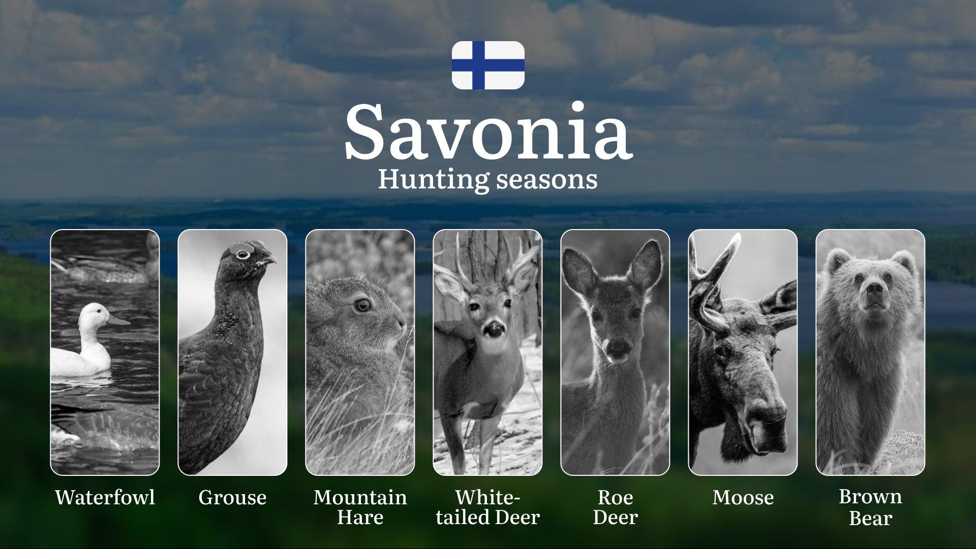 Hunting Seasons in SAVONIA (SAVO): Opening and Closing Dates, Game Activity,  License Requirements and Vital Rules