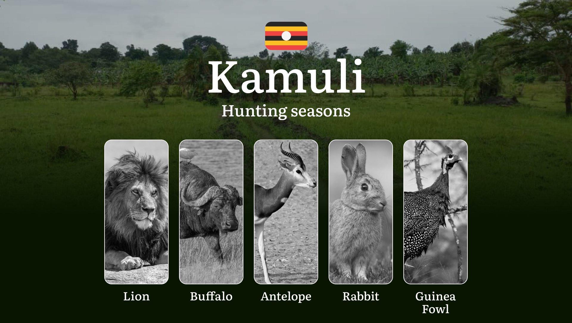 Hunting Access Dates in Kamuli: Key Hunting Periods for All Species, Restricted Areas, Rules and Exceptions, Getting Your License, Gear, Locations, and Optimal Timing