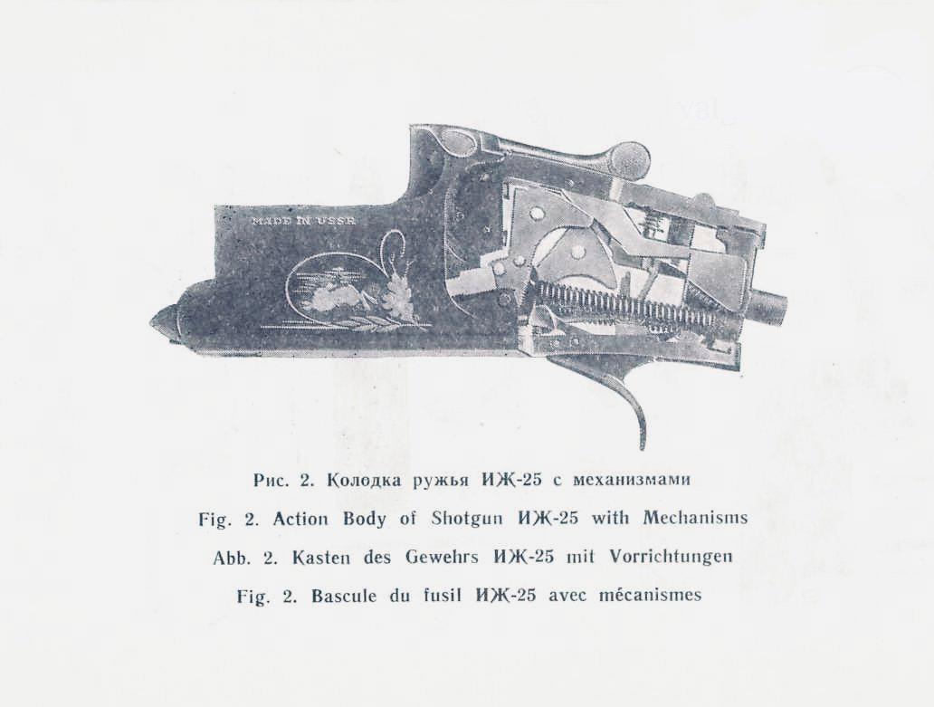 ИЖ-25: ружьё для охоты и стендовой стрельбы –обзор, характеристики, модификации, отзывы