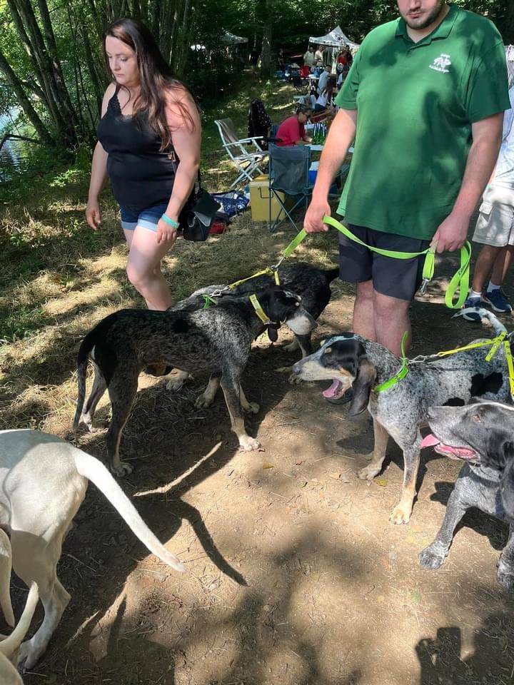 Retour en images sur notre journée de dimanche à la fête de la Chasse et de la nature à Bonnat (23) où l’équipage à passé une superbe journée.