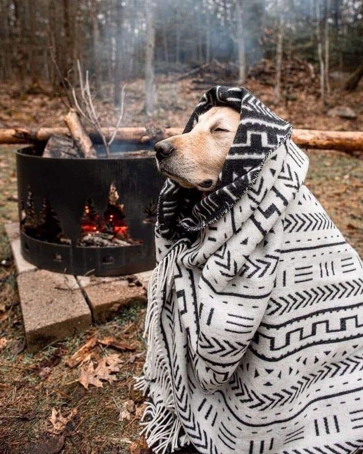 Греемся у костра🪵