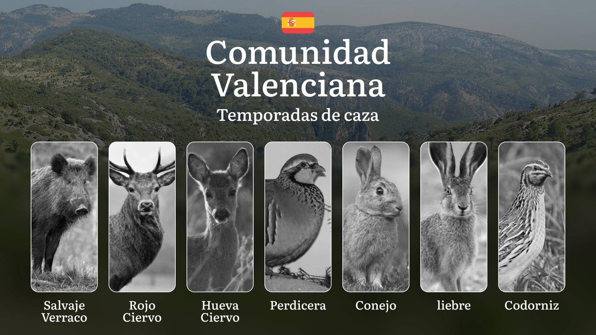 Temporadas y períodos de caza en VALENCIANA: Calendario por Especies, Normativas y Requisitos Legales