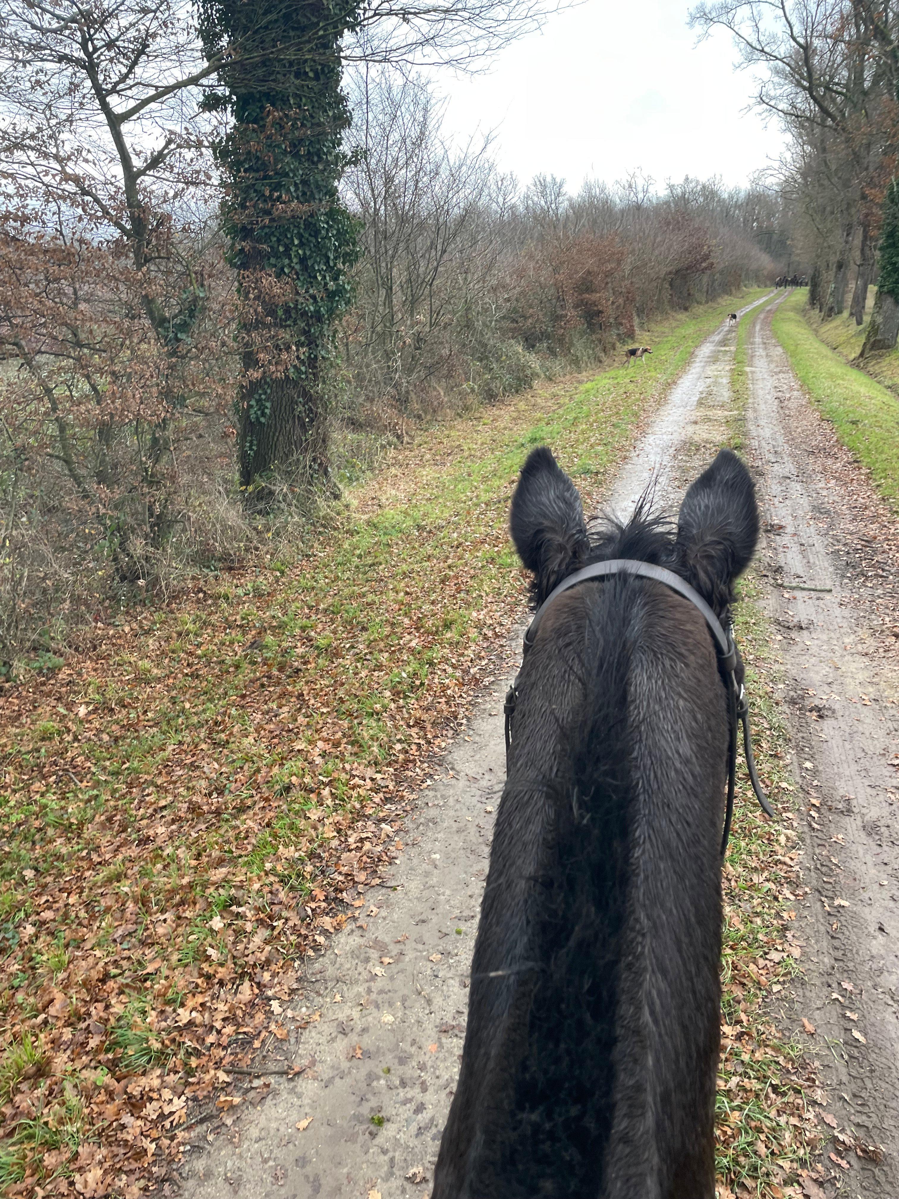 Six heures à cheval.