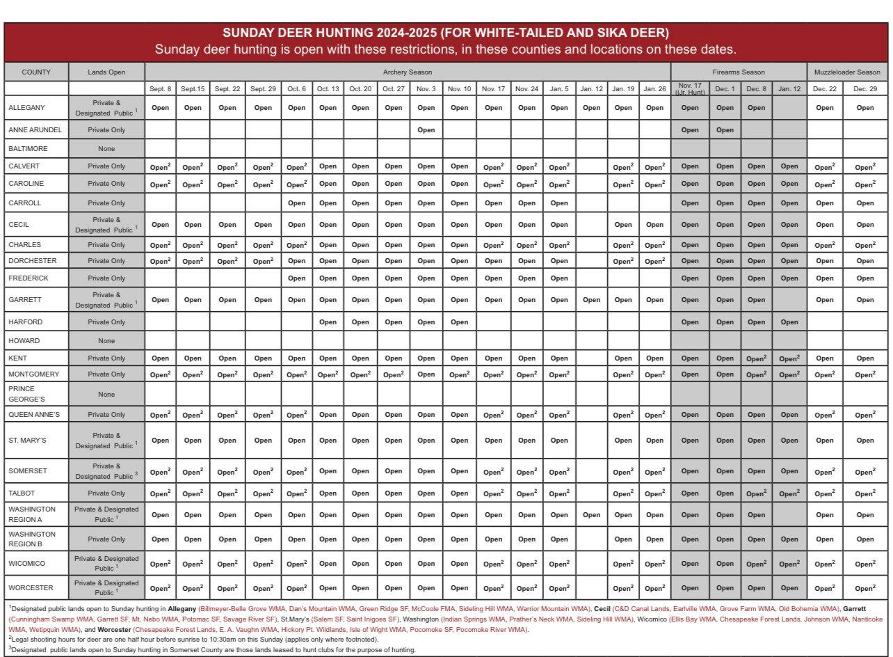 HUNTING SEASON IN MARYLAND 2025–26: Deer Hunting, Big Game and Small Game, Licenses, and Regulations Guide
