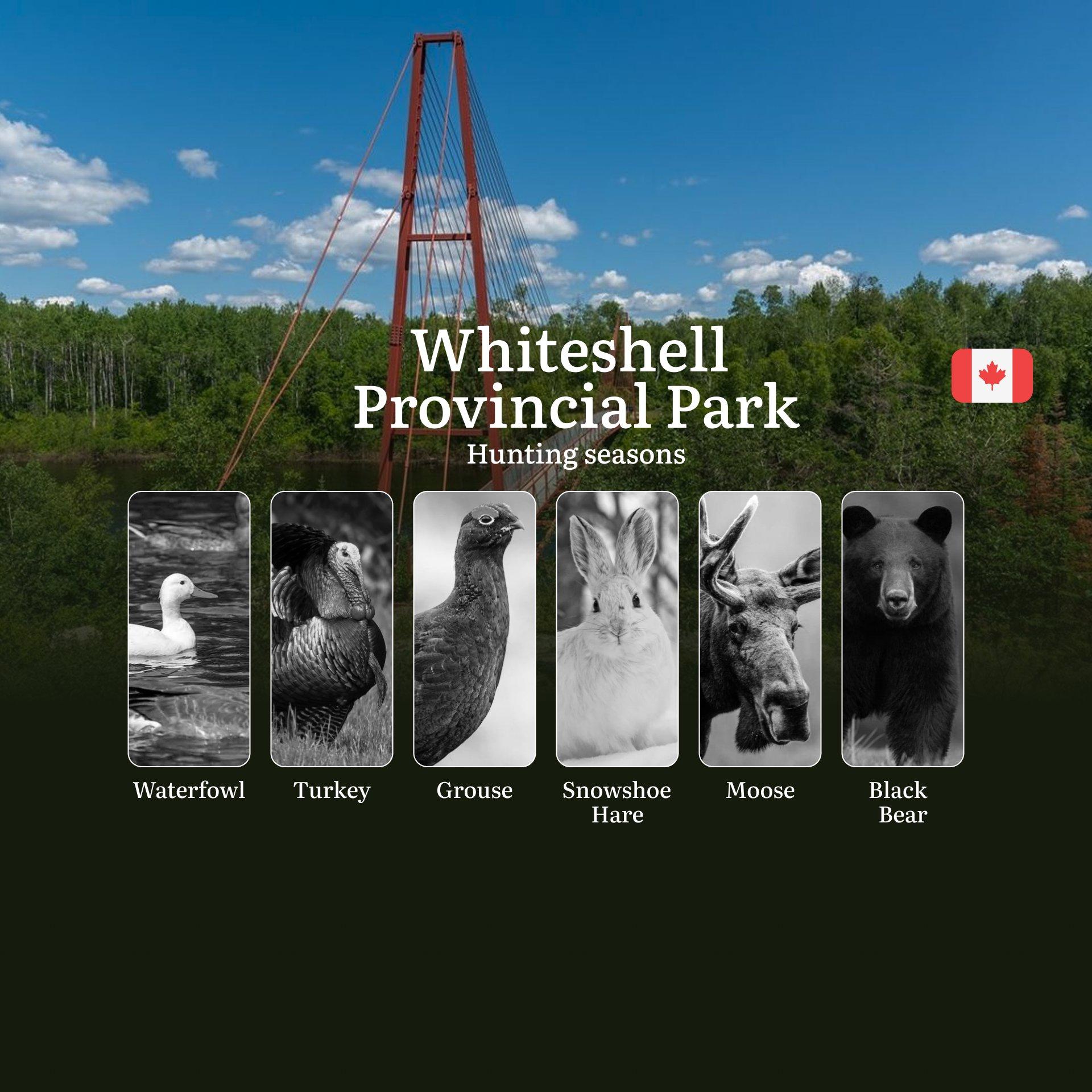 Hunting Seasons in WHITESHELL PROVINCIAL PARK: Discover Season Dates, Licensing Info, Rules, and Top Hunting Periods