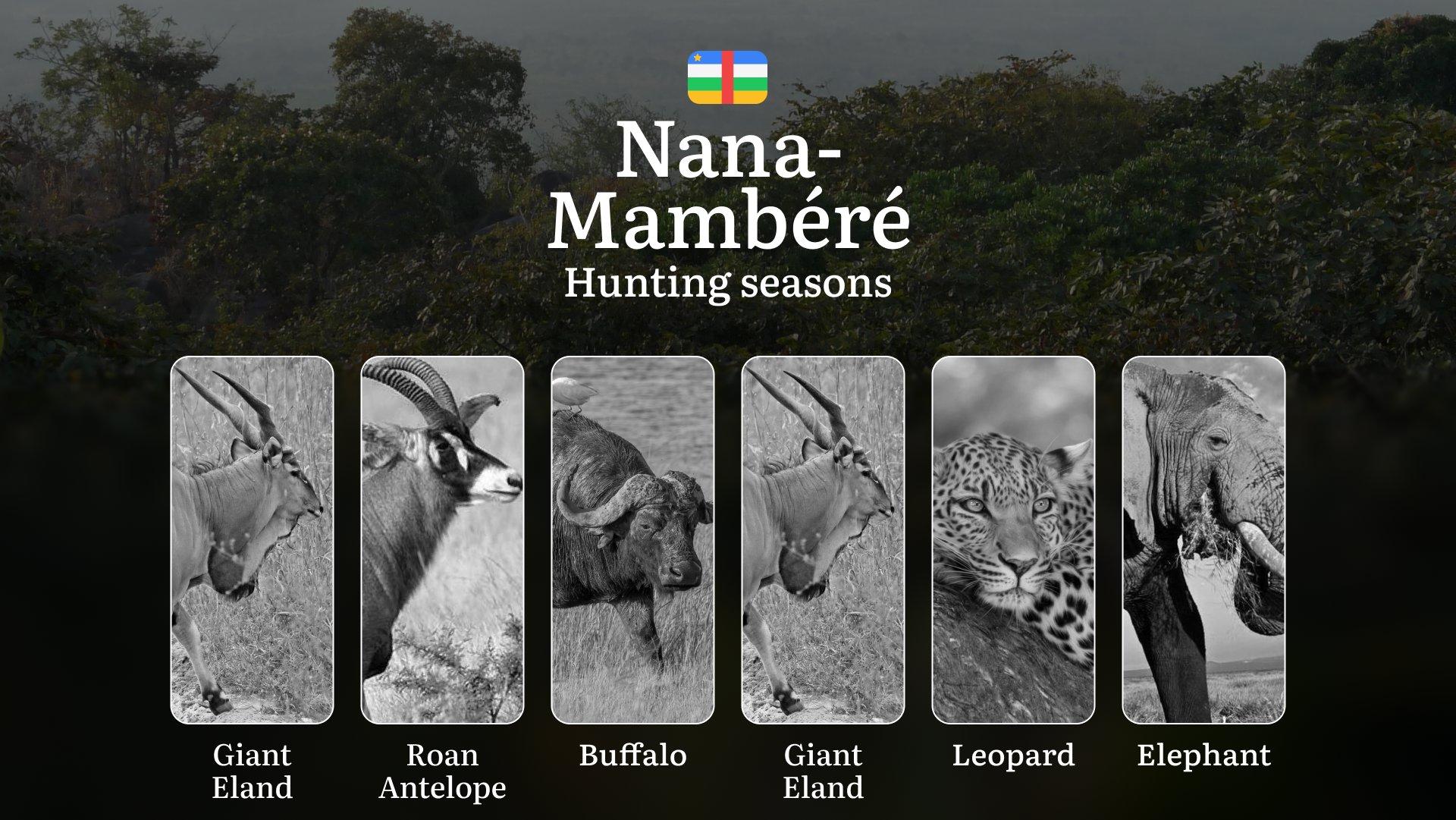 Hunting Seasons of Nana-Mambéré: Exploring General Hunting Rules, Legislation and Permits, Hunter Events and Cultural Experiences