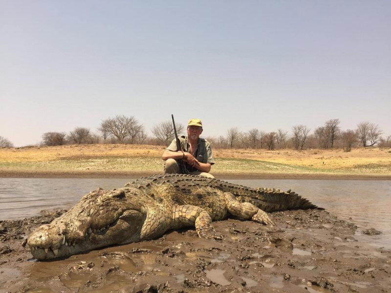 Some fantastic hippo and croc taken in lake Kariba Zimbabwe.