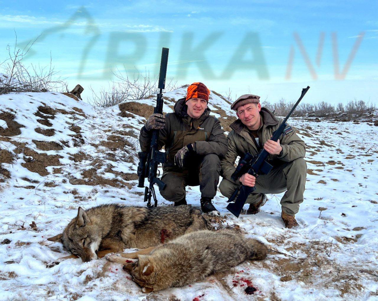 🐺👍Dmitrij Popov, kao što je i obećao, dijeli s nama plodonosne rezultate noćnog lova na predatora u Astrahanskoj oblasti!