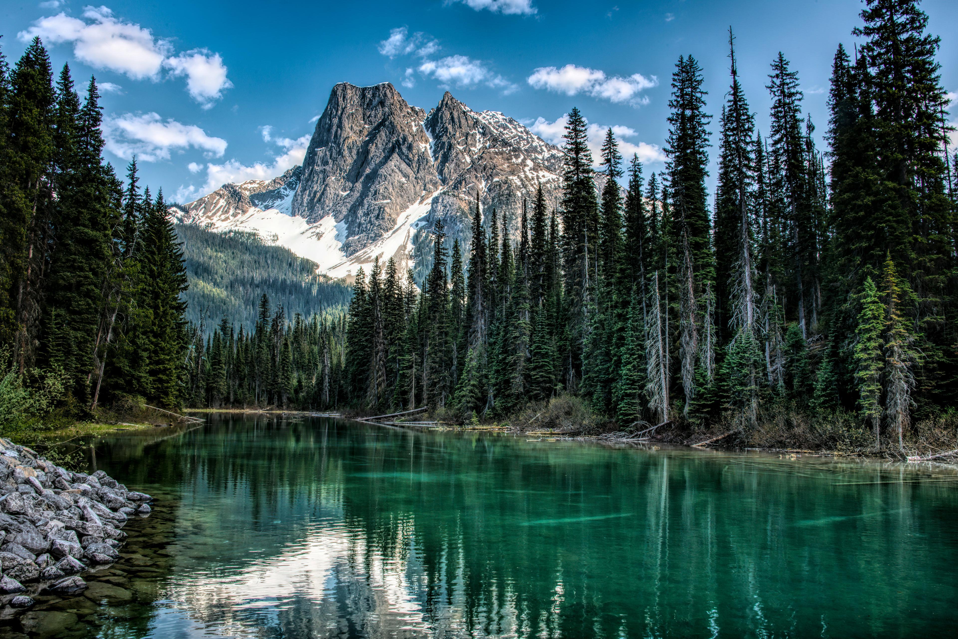 HUNTING IN BRITISH COLUMBIA (B.C.): DISCOVERING HUNTING SEASONS, LAWS, DEMOGRAPHICS AND REGIONAL TRADITIONS