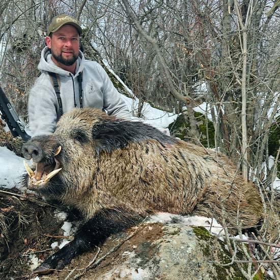 BUKHARAN IBEX AND WILD BOAR HUNTING IN TAJIKISTAN