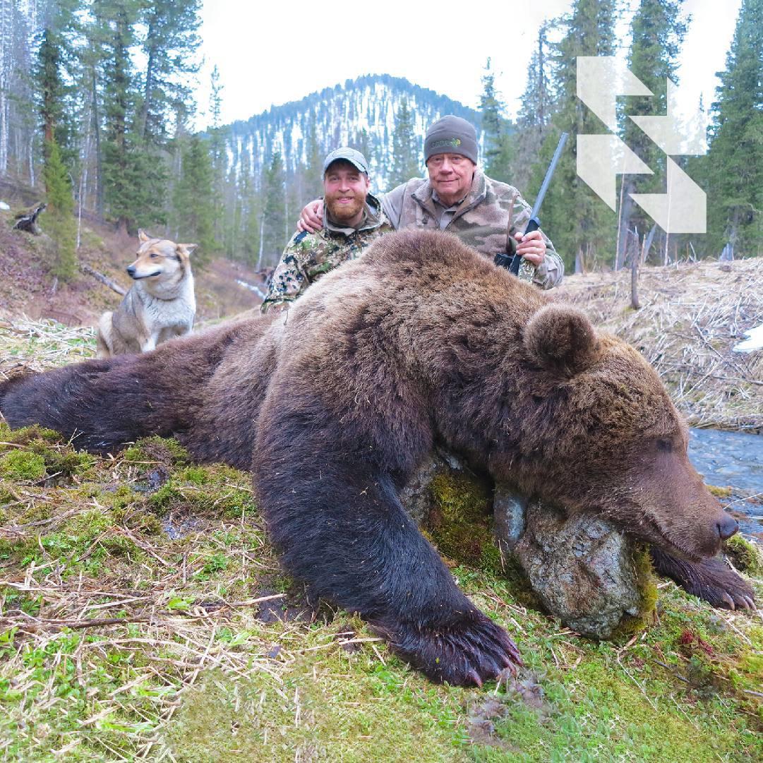 Lov na smeđeg medvjeda u najudaljenijem kutku Altajskih planina.