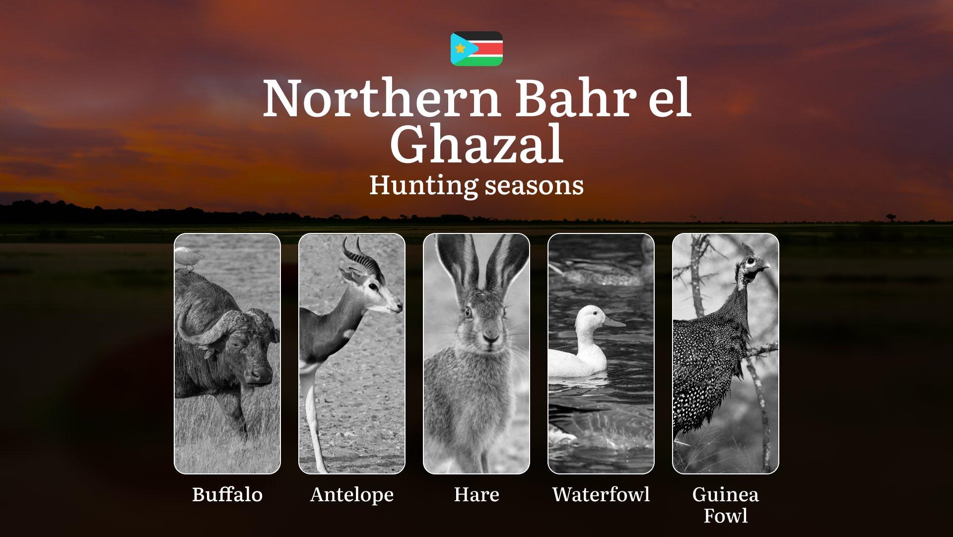 Hunting Calendar for Northern Bahr el Ghazal: Regulations, Permits, and Best Time for Hunting, Documents and Organizations