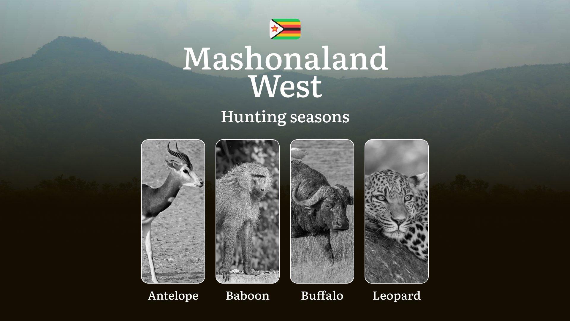Hunting Seasons in Zimbabwe, MASHONALAND WEST Region: Hunting Dates, Opening and Closing Dates, Licenses, Rules and Periods for Hunting