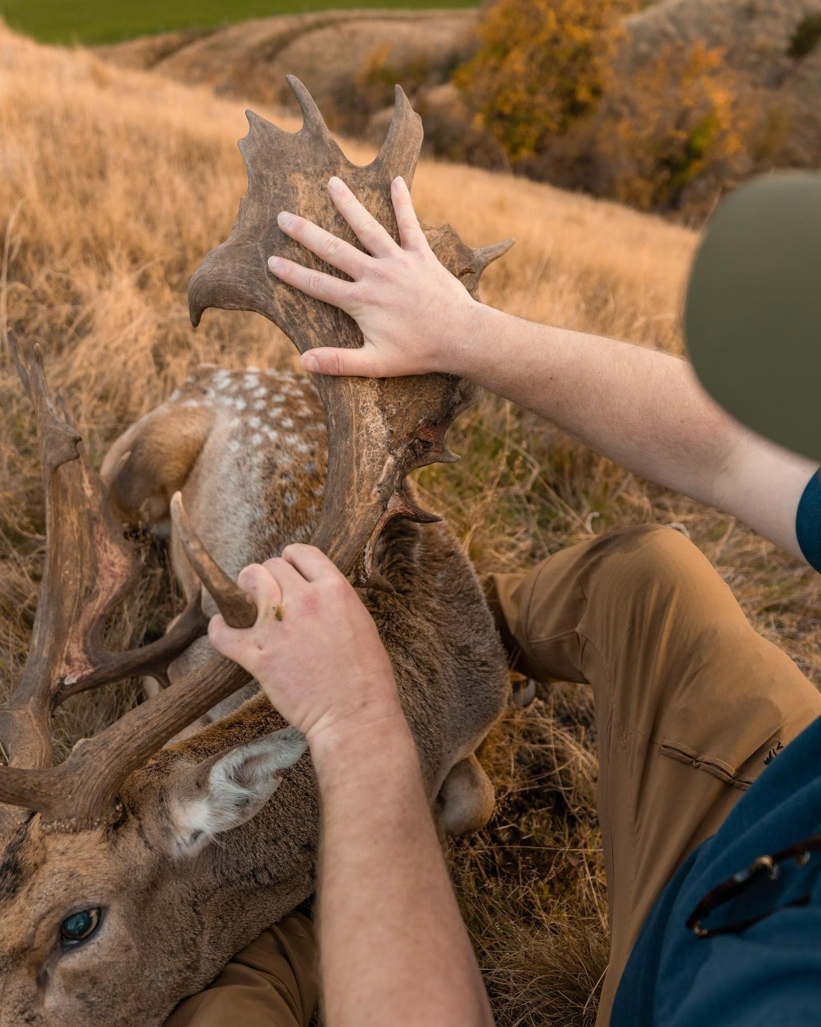 A beautiful buck for our client Frank