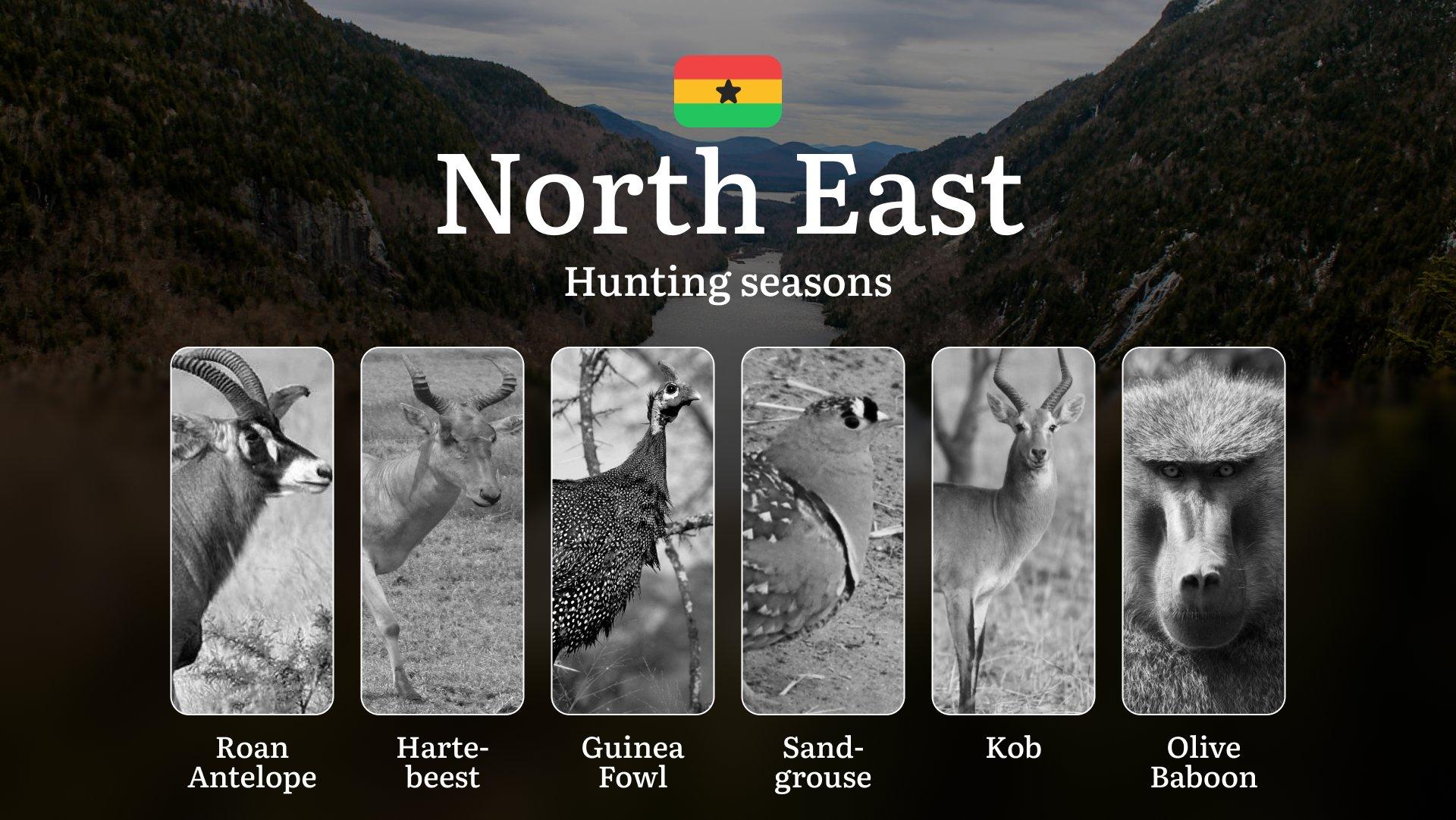 Hunting Calendar in North East: The Thrill of Hunting Events and Traditions, Legislation & General Hunting Rules and Permits