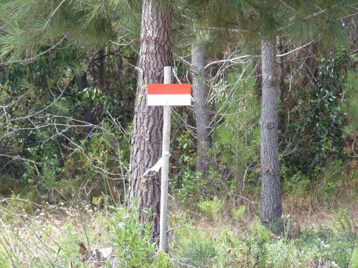 Hunting Signs in Portugal