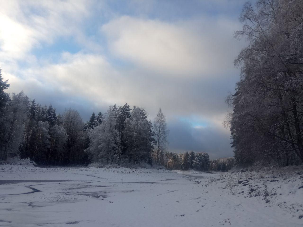 Snowy fairy tale from Igor Krol's hunting grounds in Novgorod Oblast