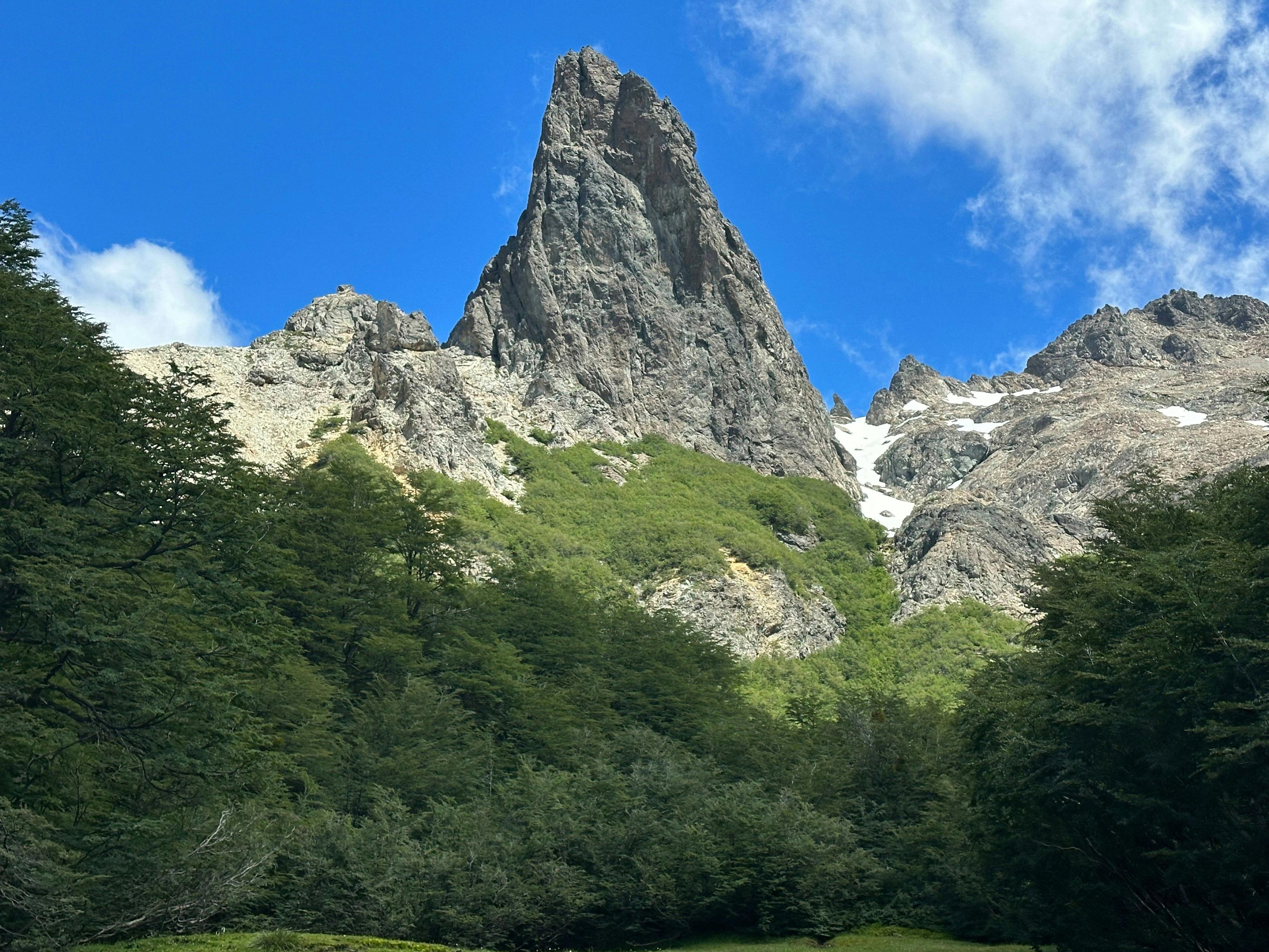 Jagd in Vaduz (Liechtenstein): Geografische Gegebenheiten, Jägerdemografie, Jagdtechniken, Gesetze, Bräuche, Traditionen und Interessante Fakten