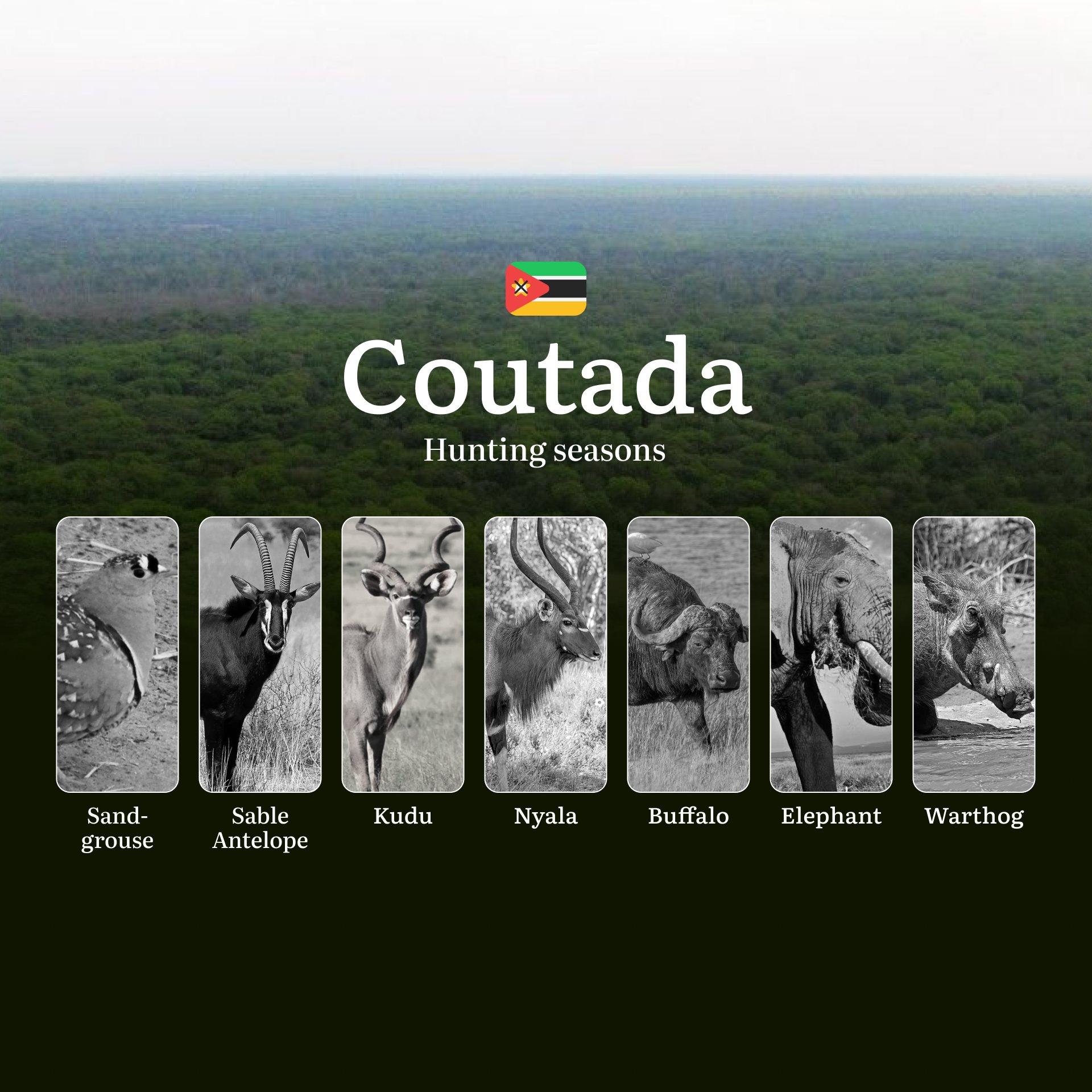 Where Legends Are Made: Coutada 11 & 12 Hunting Seasons - Mozambique's Crown Jewel of Trophy Hunting and Conservation