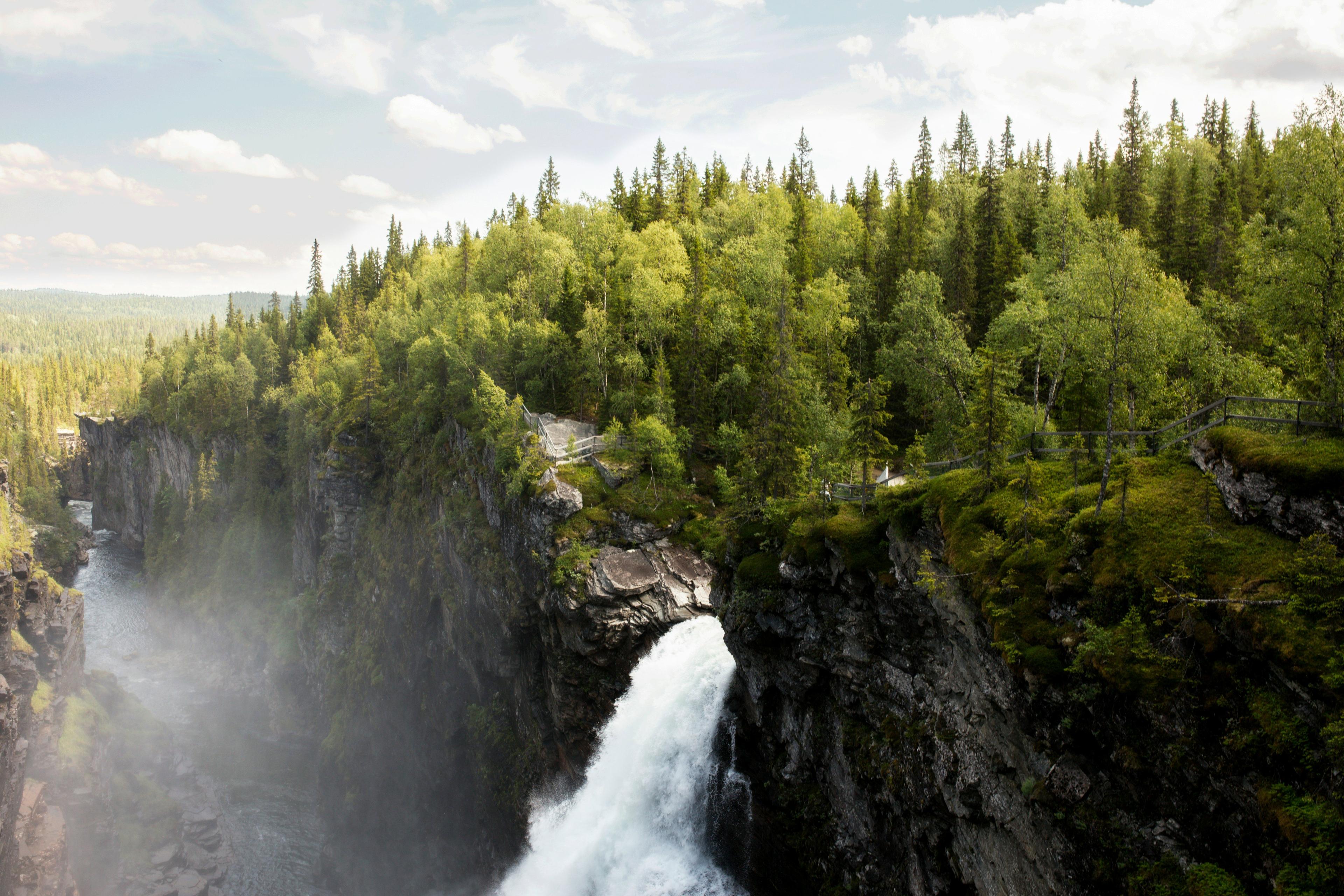 Hunting in Dalarna, Sweden: A comprehensive guide for hunters, including species, seasons, permits, regulations, and tips for hunt in the heart of Sweden