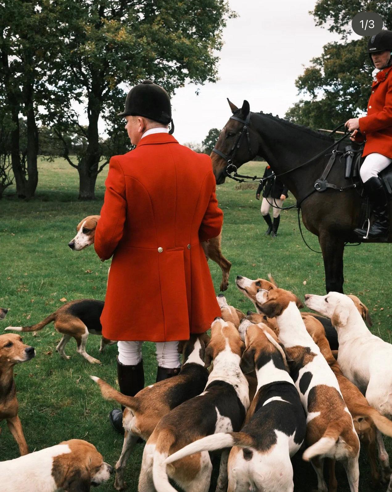 Englische Hunderassen (Rassen Großbritanniens) sind mehr als 60 Rassen, die auf dem Territorium dieses Staates gezüchtet werden.