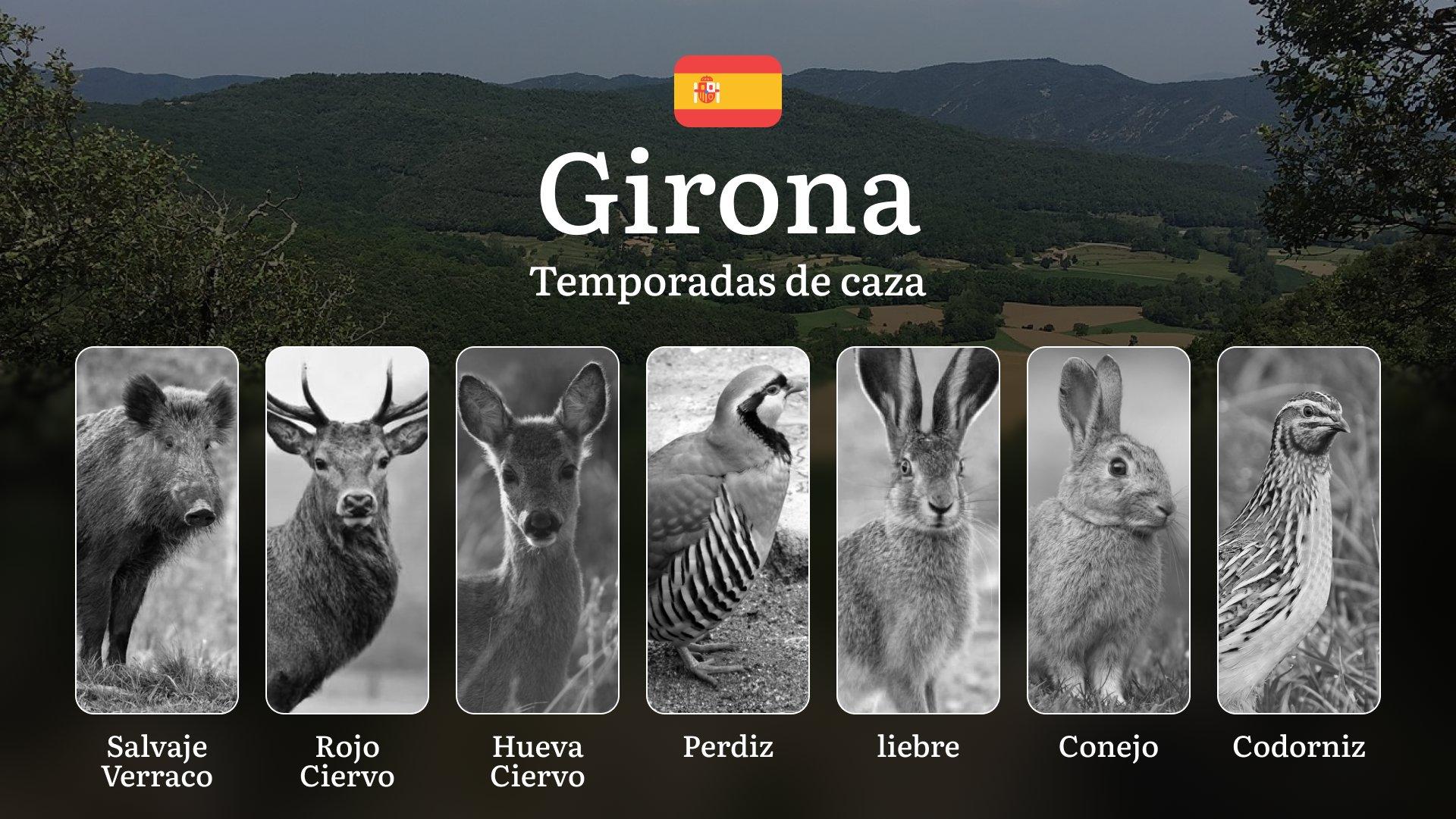 Temporadas y períodos de caza en GIRONA: Fechas, Normativas y Épocas Ideales para la Práctica Cinegética