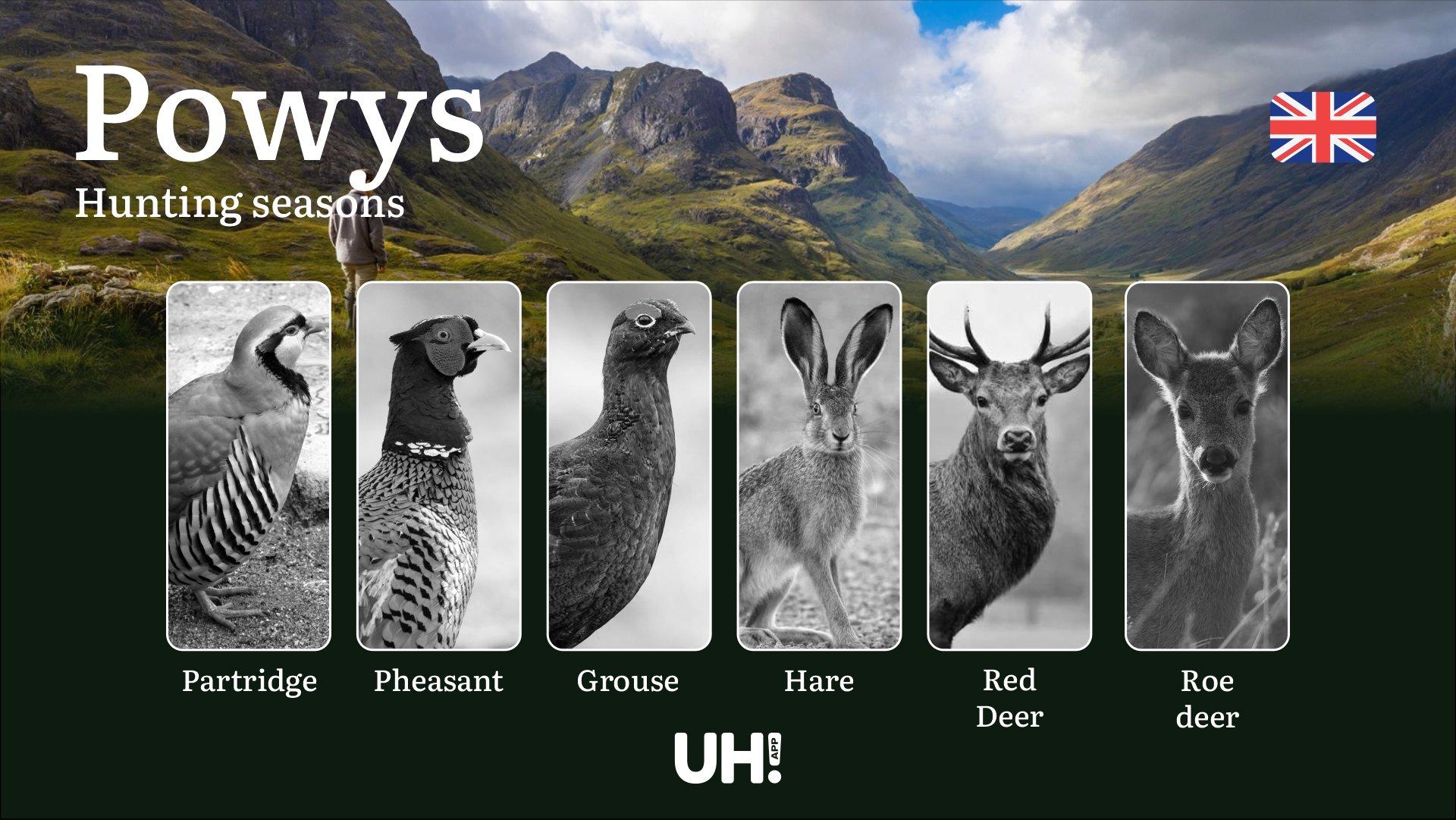 Powys Hunting Seasons: Dates, Licenses, Rules & Best Times to Hunt in Wales’ Wild Country