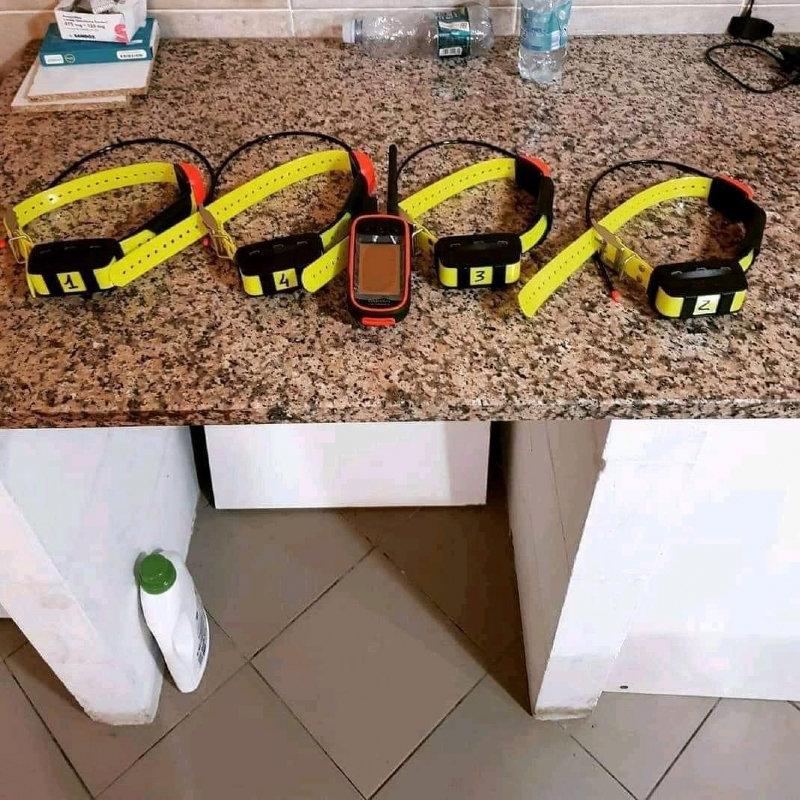 Verkaufe meine Lose GARMIN ALPHA 100 MIT 4 TT15 HALSBAND.