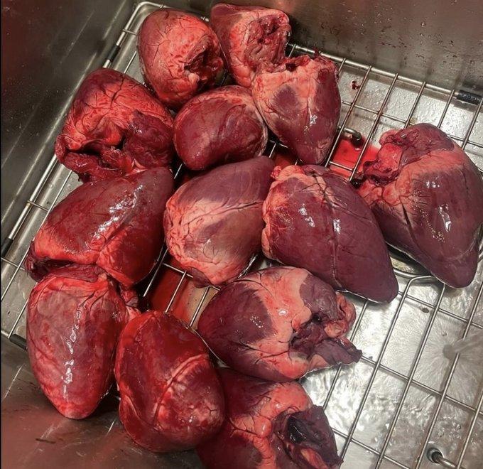 Deer organs: Do you eat them?