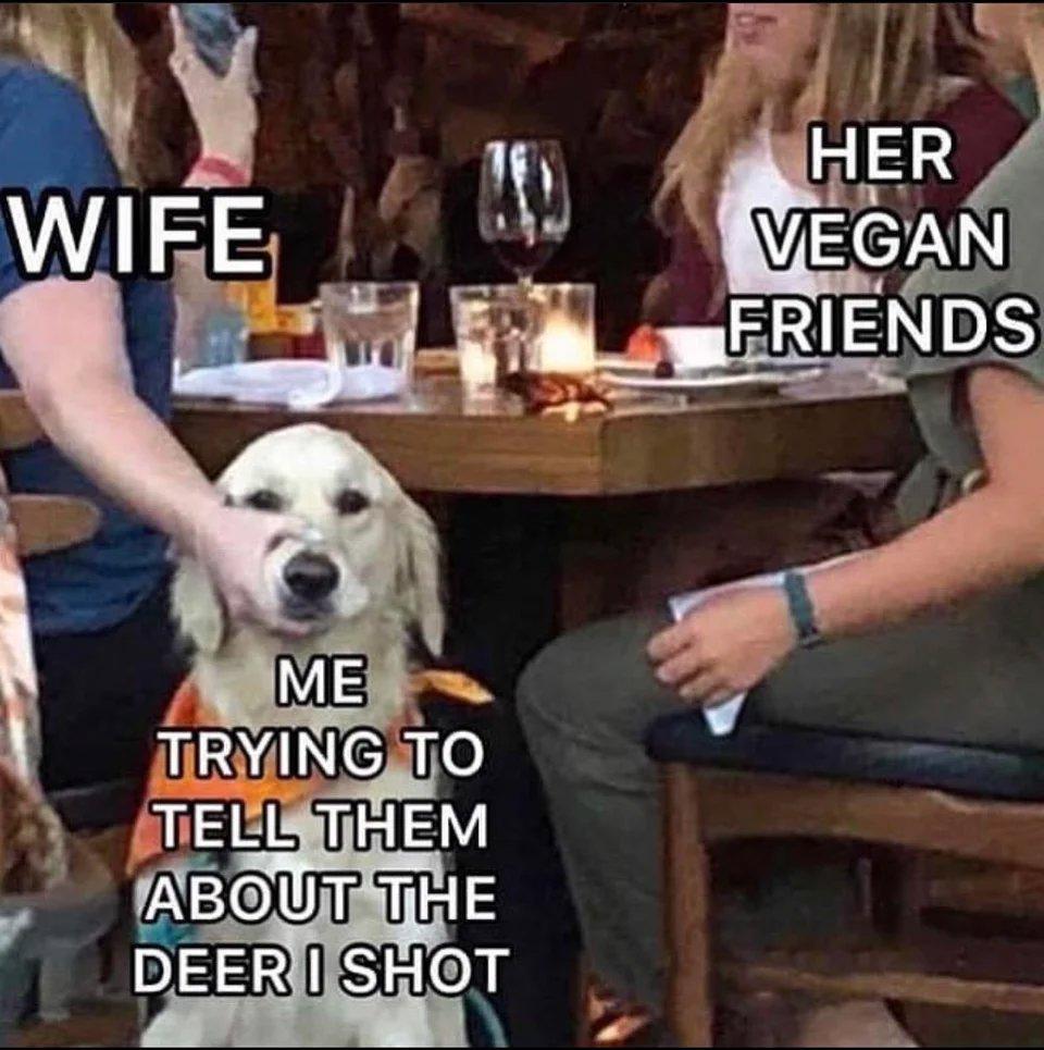 Meme time!