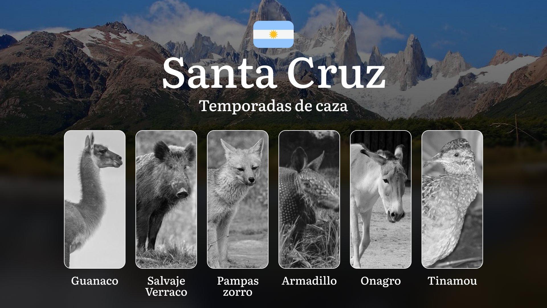 Temporadas de caza en Argentina en la región de Santa Cruz: mejores épocas para la caza, lugar y equipo, sanciones por violar las fechas y normas 