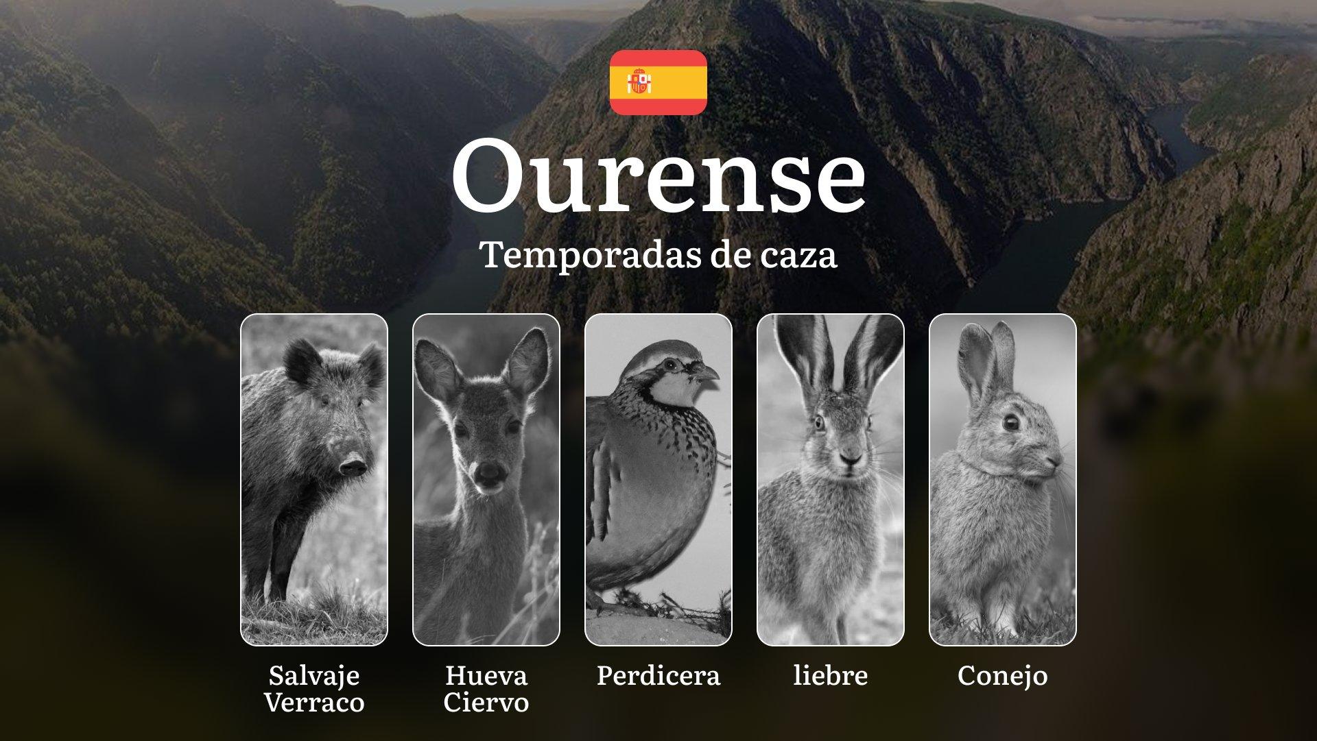 Caza en OURENSE: Temporadas y períodos de caza, Licencias y Épocas Ideales para la Práctica Cinegética en Galicia