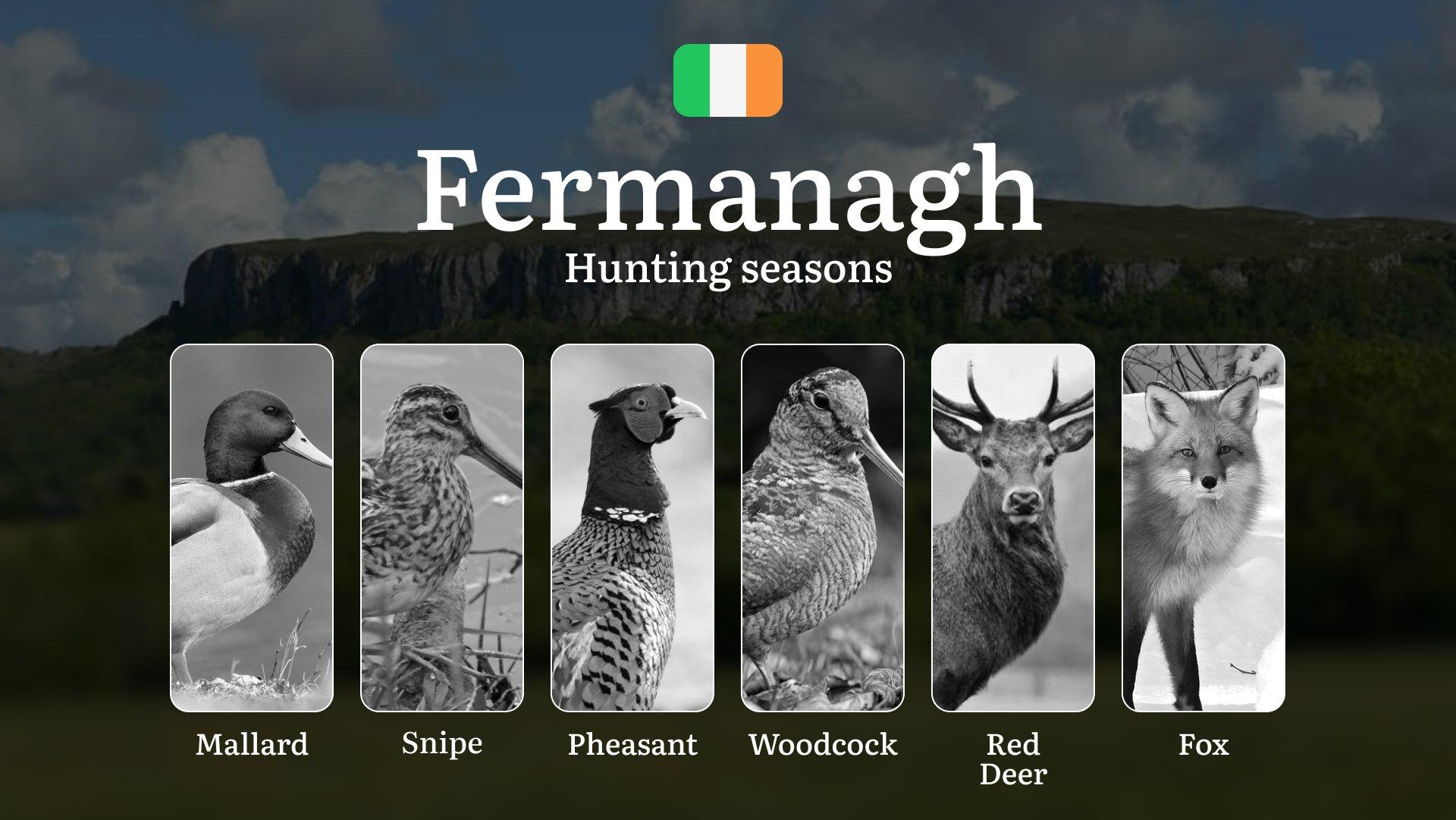 FERMANAGH'S Hunting Seasons: When the Lakelands Awaken - Snipe, Duck and Irish Wilderness Pursuits