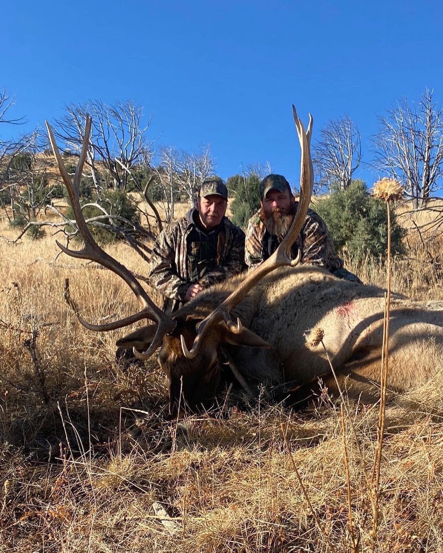 PRIME ELK MANAGEMENT ZONE BULL ELK ARCHERY RUT HUNTS NOW AVAILABLE FOR 2024!!!