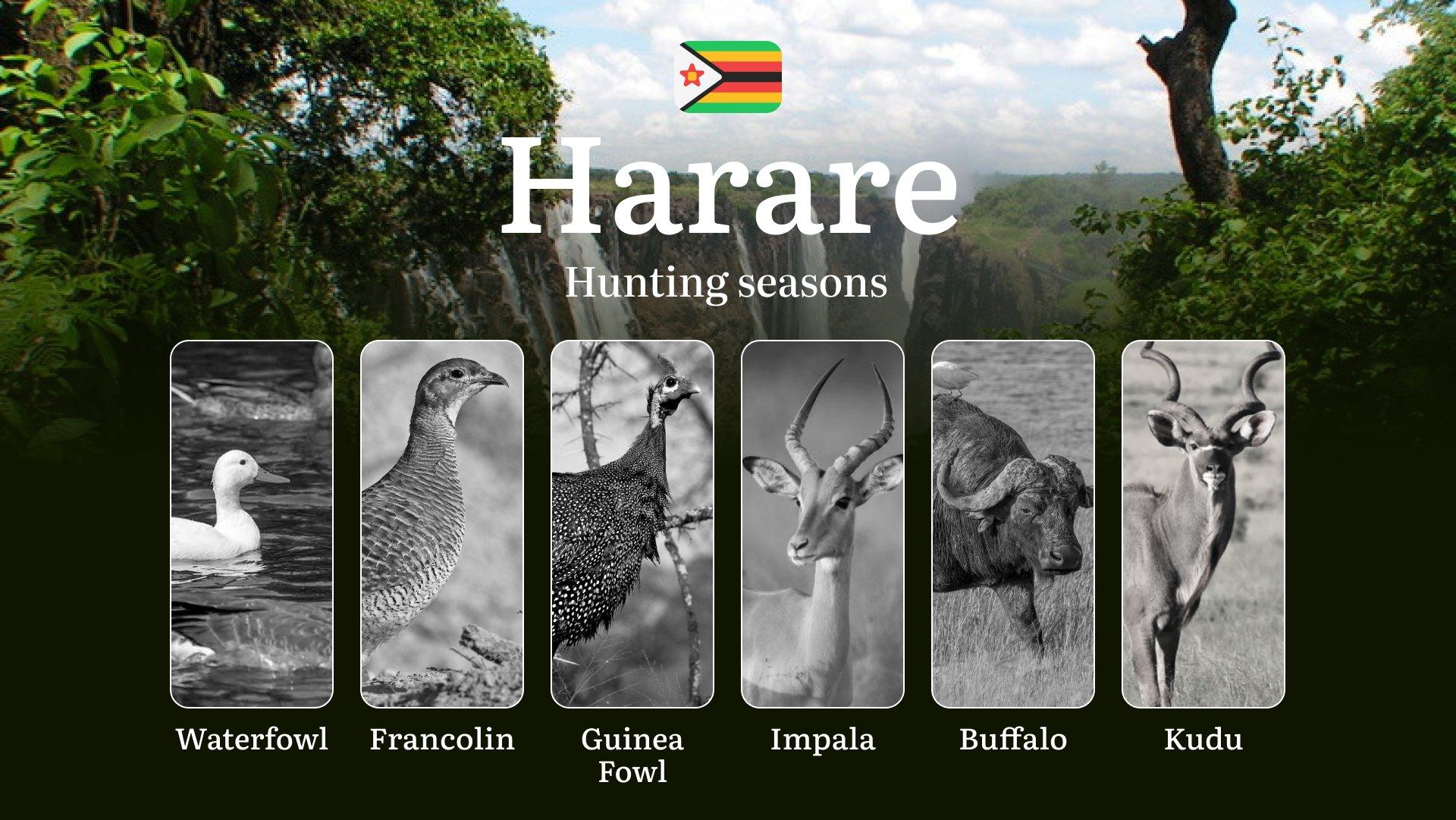 Hunting Seasons in HARARE, Zimbabwe: Hunting Periods, Licenses, Rules, Protected Species and Legal Restrictions