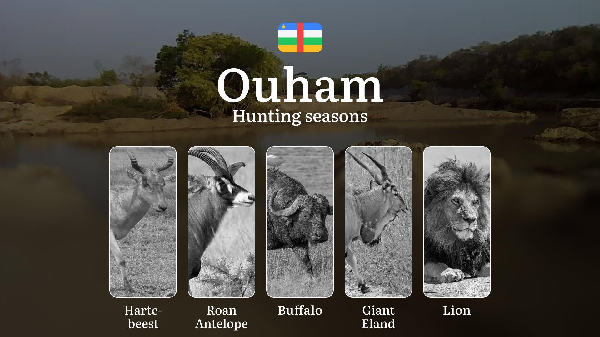Hunting Calendar in Ouham: The Thrill of Hunting Events and Traditions, Legislation & General Hunting Rules and Permits