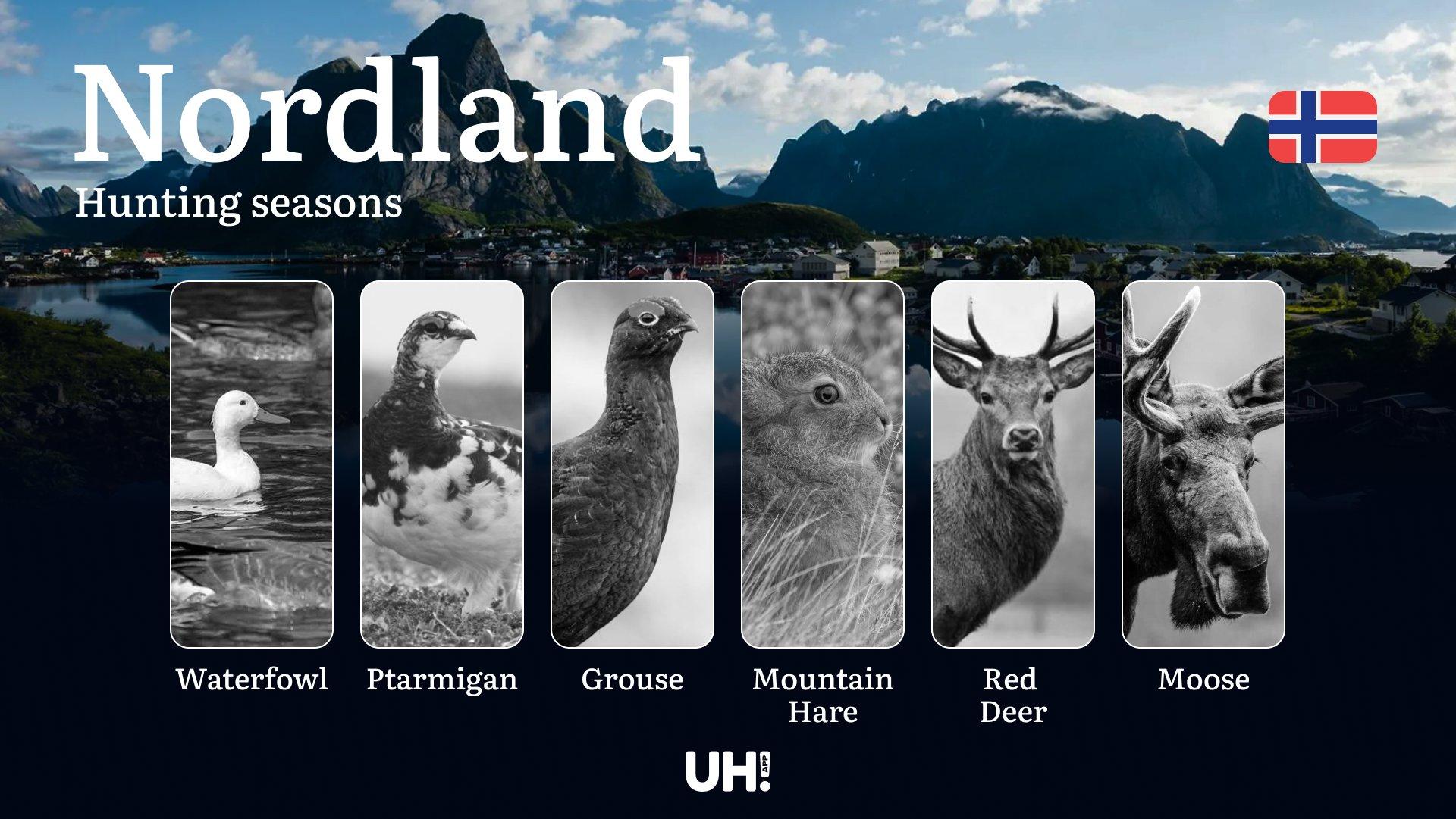 Hunting Dates in Nordland: Seasonality of Hunting, Timing and Regulations, Hunting Permits, Restrictions and Prohibitions