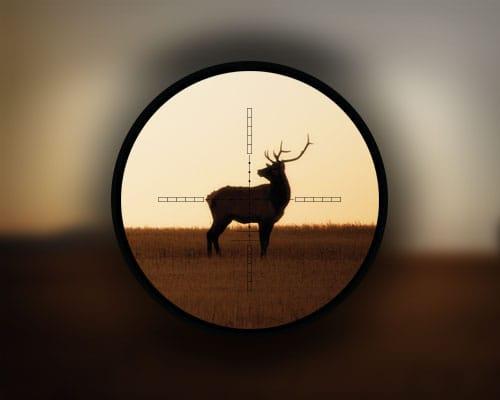 Five Top Tips to Improve Low Light Hunting