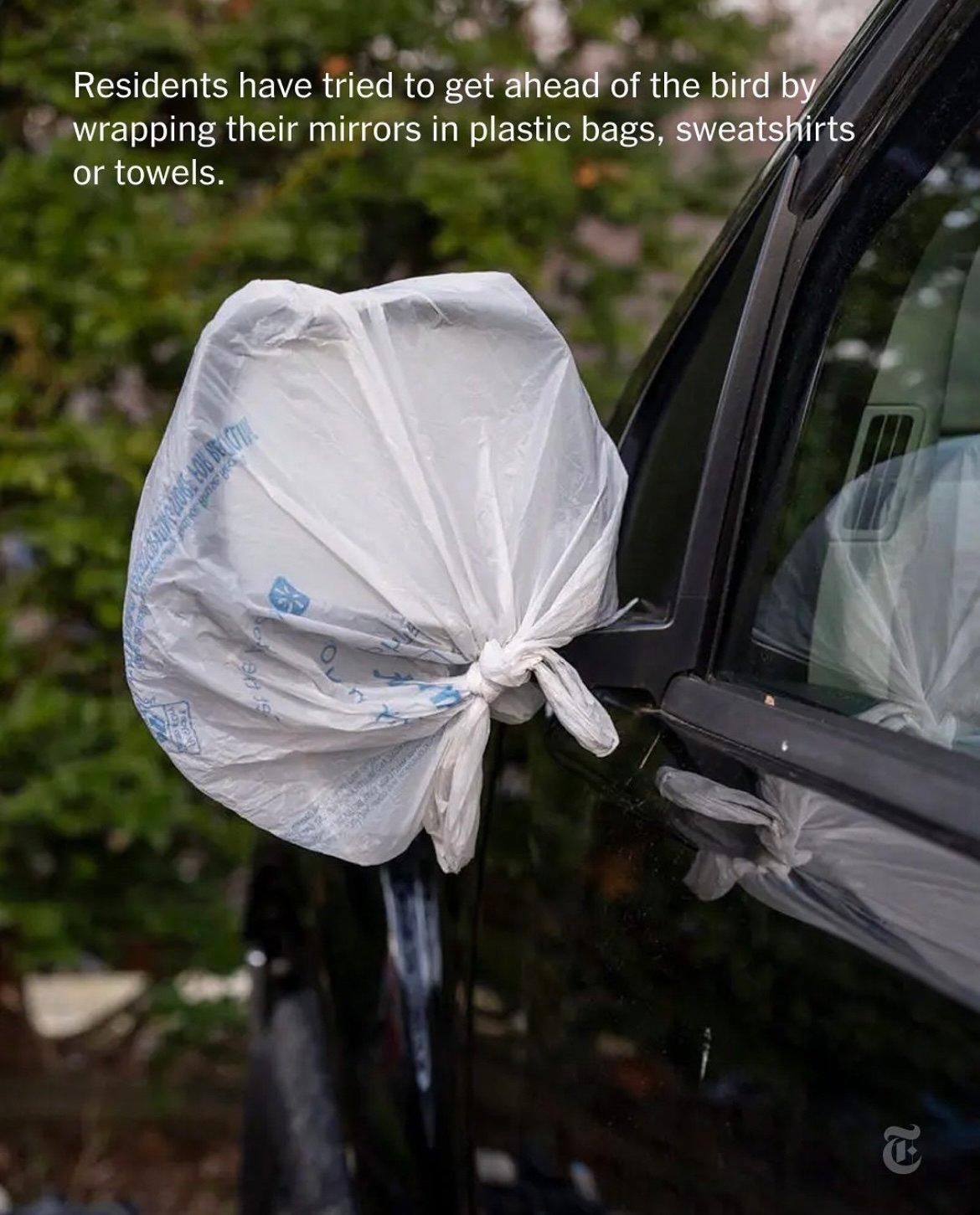 More than 20 vehicles have been recently damaged in a town on Cape Ann, Massachusetts, with driver's side windows and mirrors being cracked.