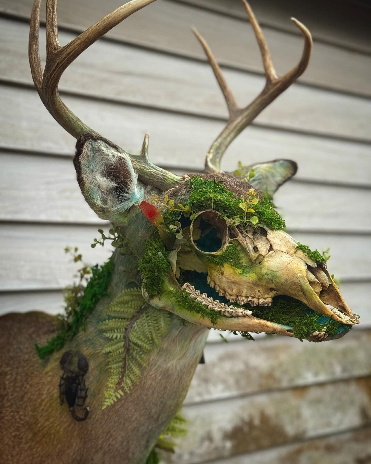 🌿Wendigo🌿