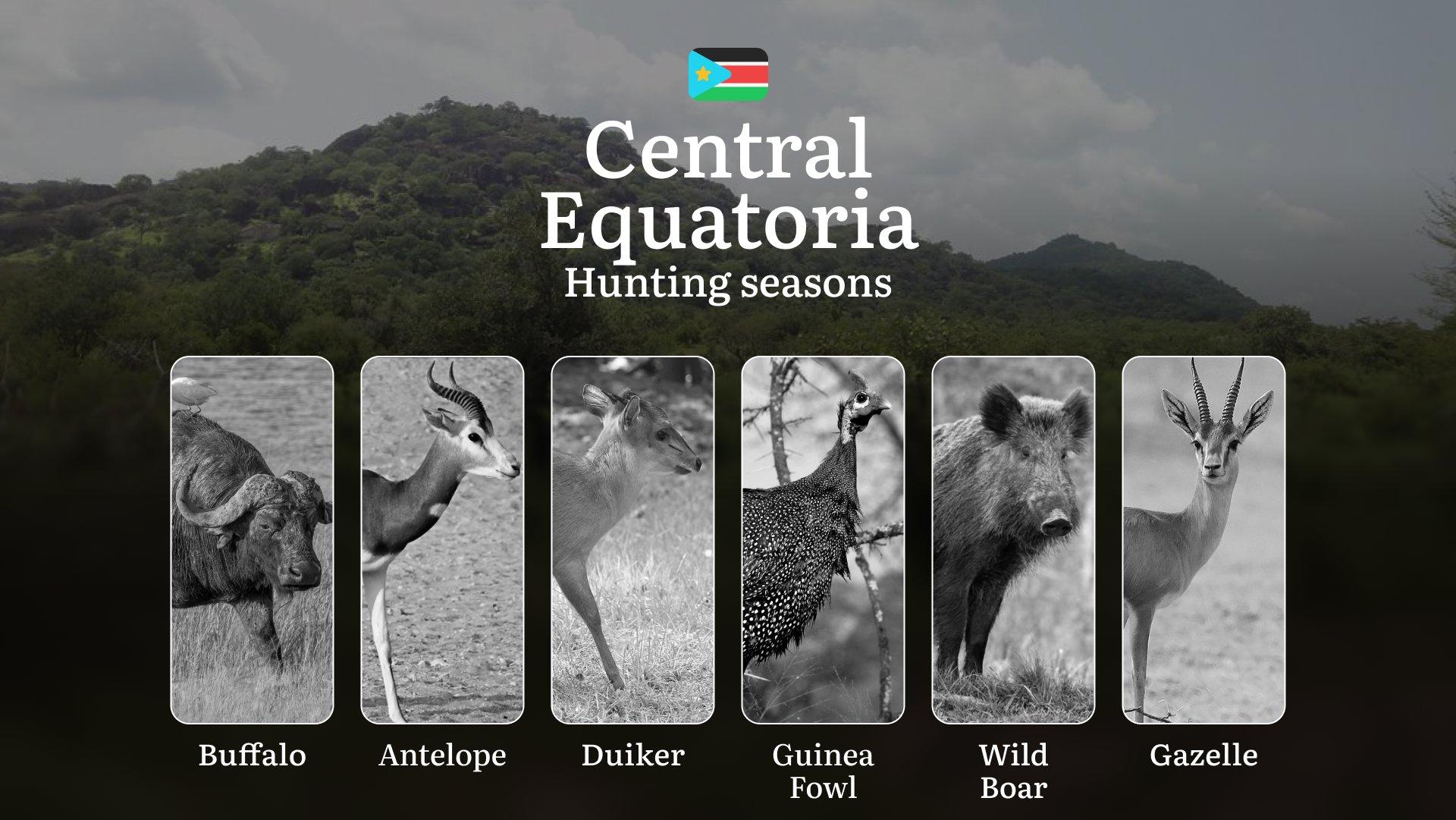Hunting Dates in Central Equatoria: Game Seasons and Animal Movements, Licensing and Application Steps, Legal Restrictions and Seasonal Bans