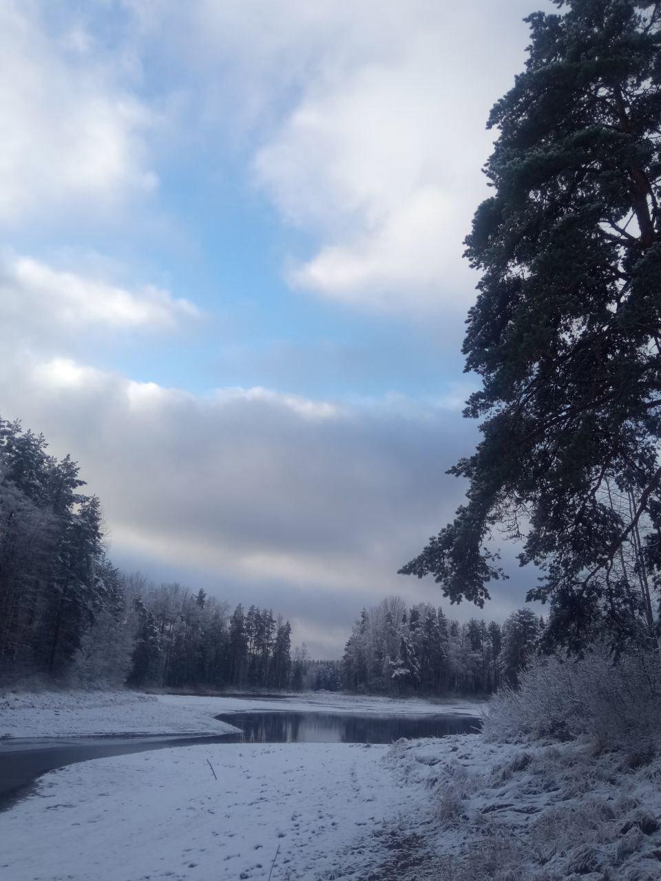 Snowy fairy tale from Igor Krol's hunting grounds in Novgorod Oblast