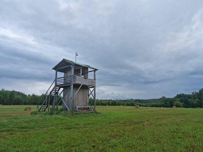 Как мы создавали охотхозяйство «Экомир» в Тверской области